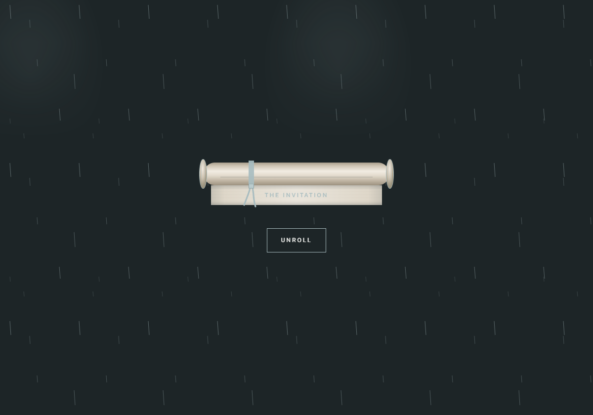 Nordic Frost wedding website